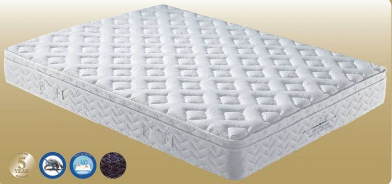 Orthozone Knitted Fabric Mattress Single